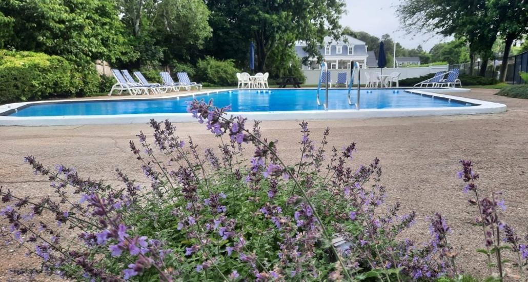 Harwichport Resort Club Harwich Port Εξωτερικό φωτογραφία